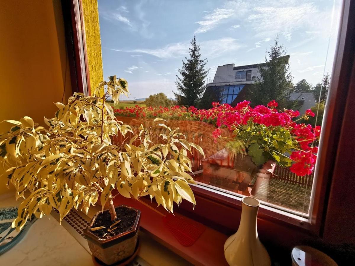 Apartman Adrianka Турчьянске-Теплице Экстерьер фото
